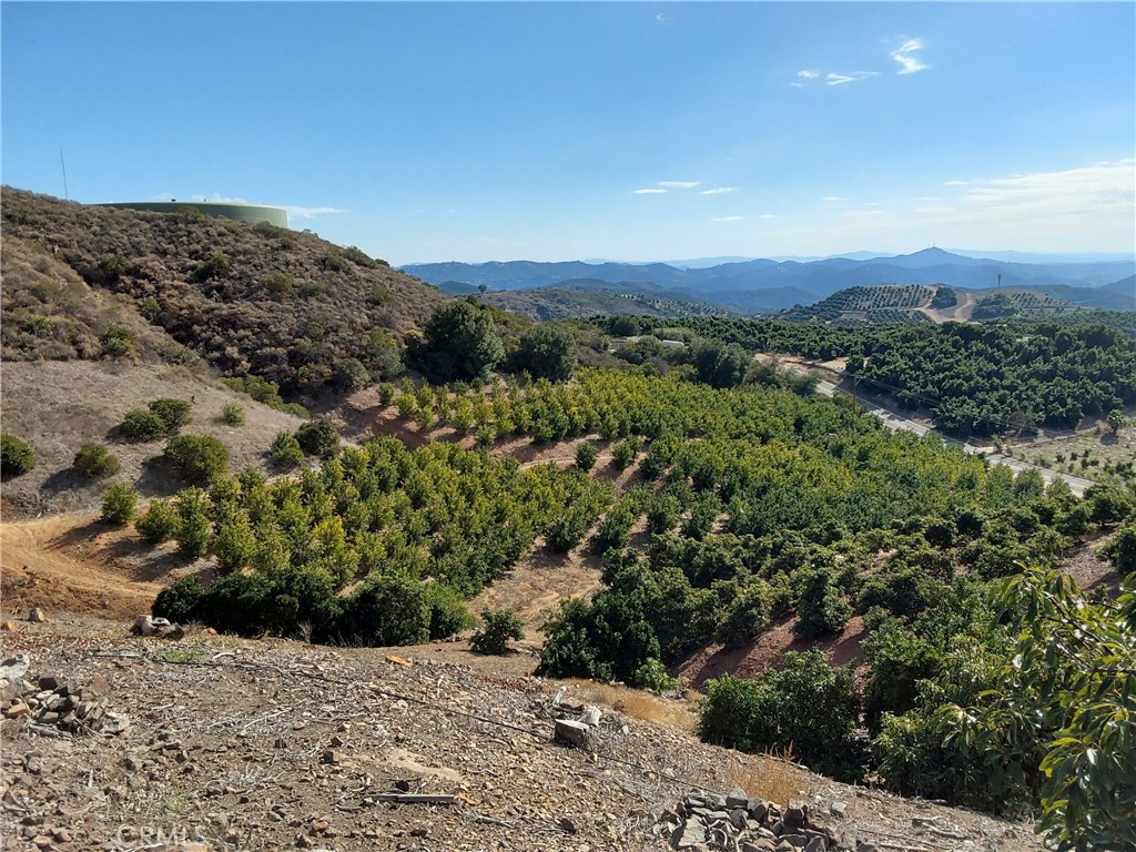 MLS #SW25267195 image #11