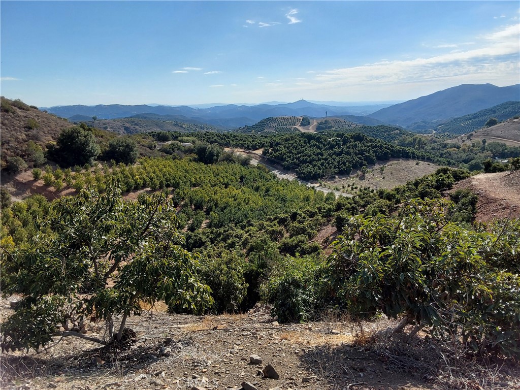 MLS #SW25267195 image #12