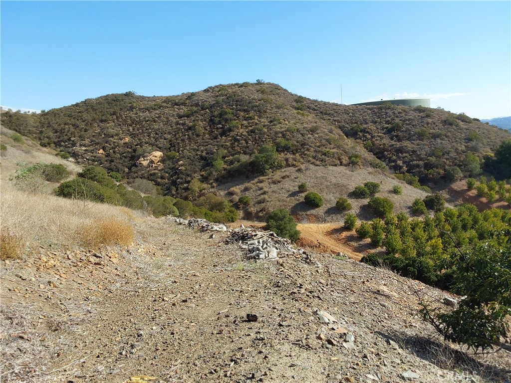 MLS #SW25267195 image #14