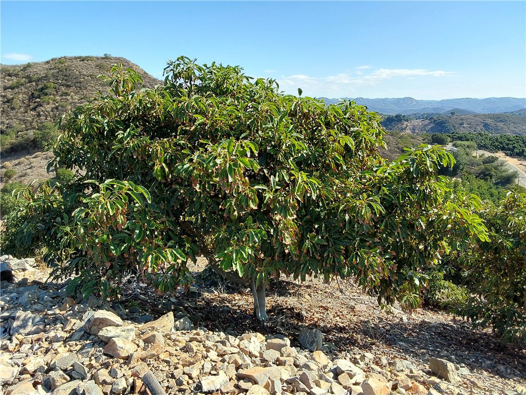 MLS #SW25267195 image #15