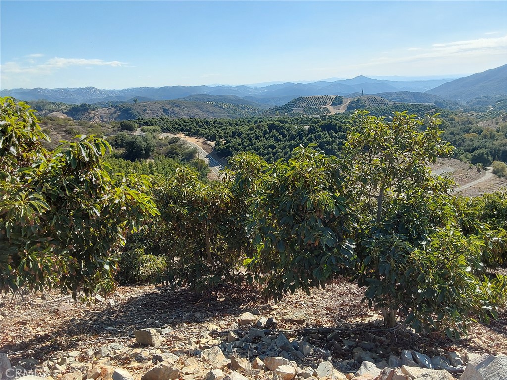 MLS #SW25267195 image #17