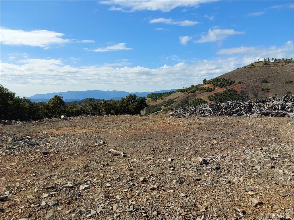 MLS #SW25267195 image #19