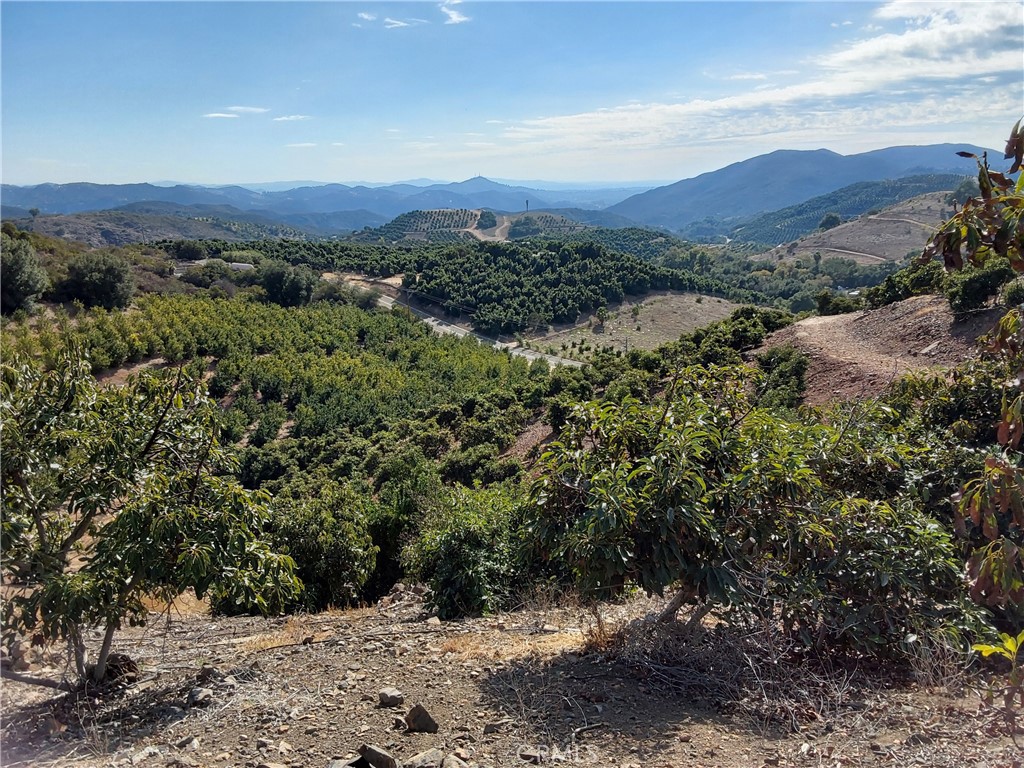 MLS #SW25267195 image #2