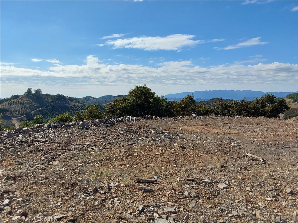 MLS #SW25267195 image #20