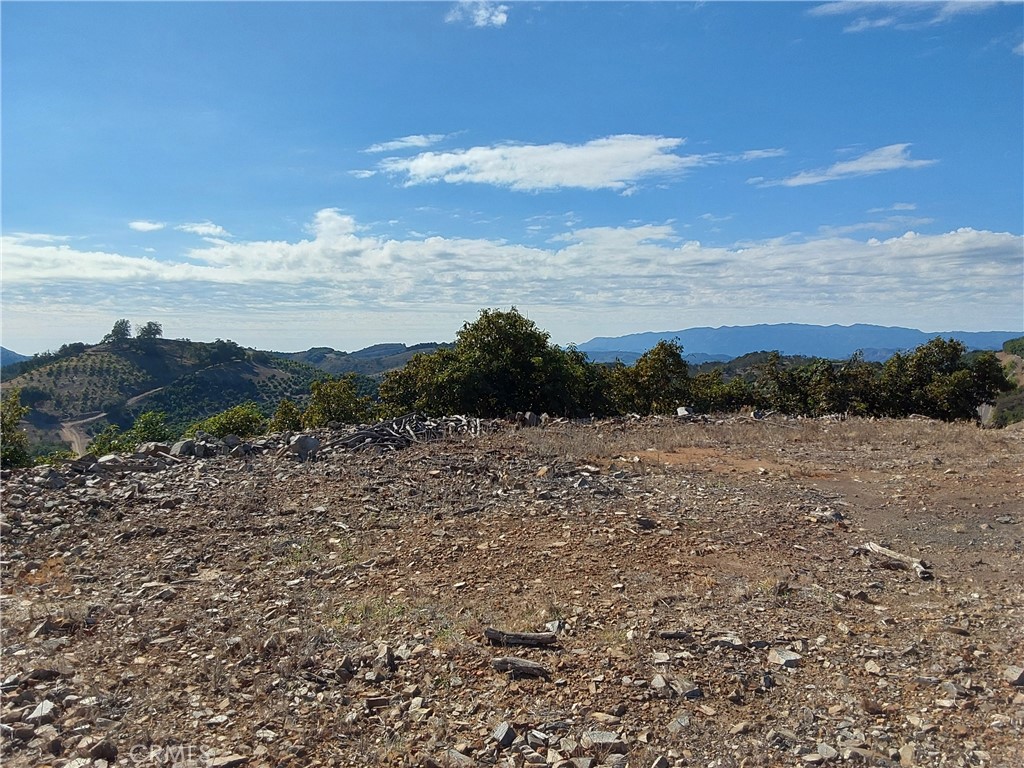 MLS #SW25267195 image #21