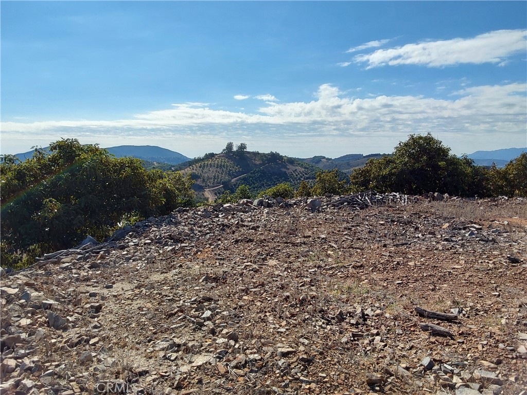 MLS #SW25267195 image #22