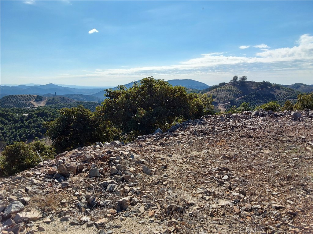 MLS #SW25267195 image #23