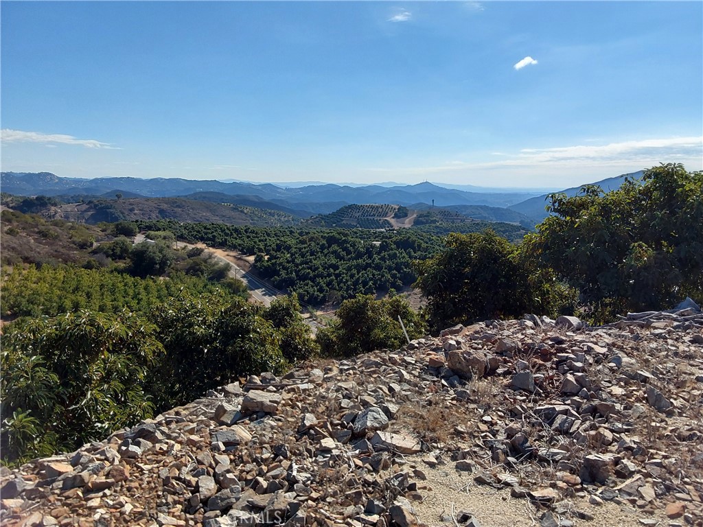 MLS #SW25267195 image #24