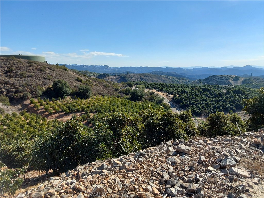 MLS #SW25267195 image #25