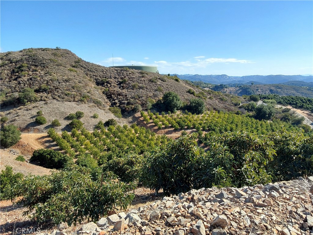 MLS #SW25267195 image #26