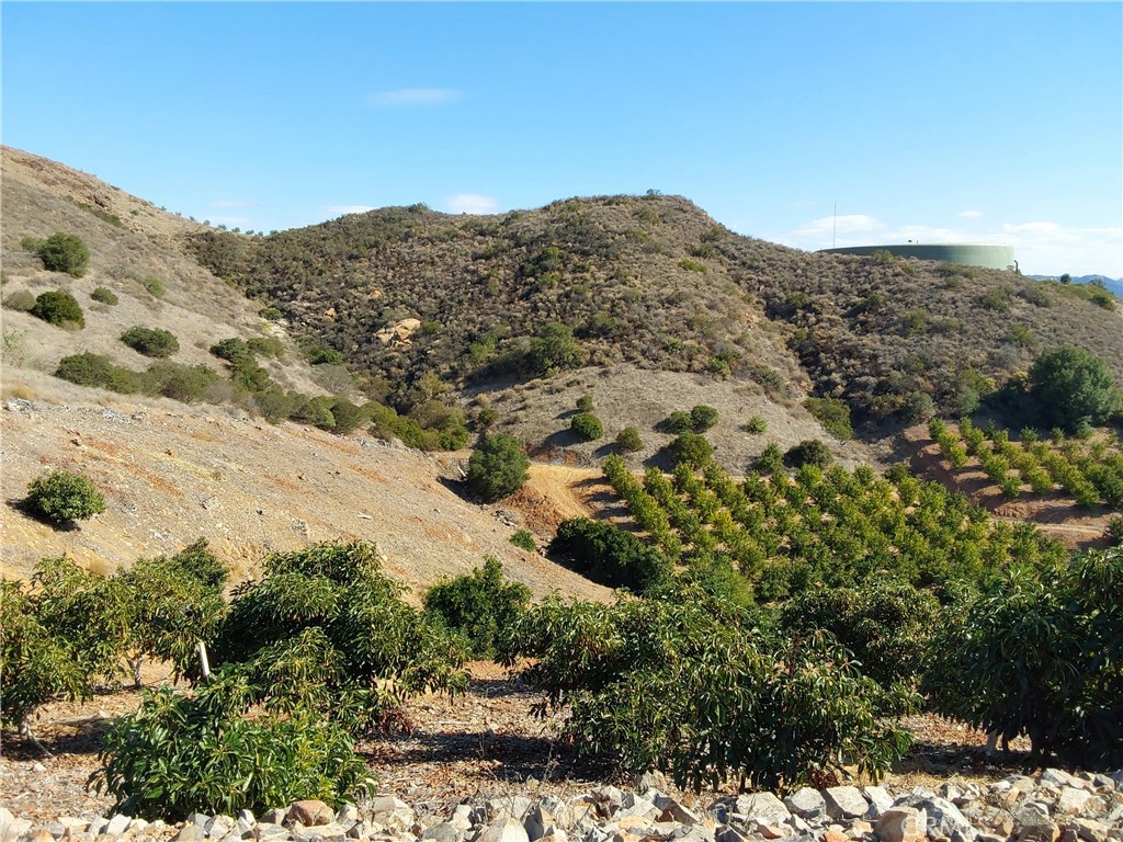 MLS #SW25267195 image #27