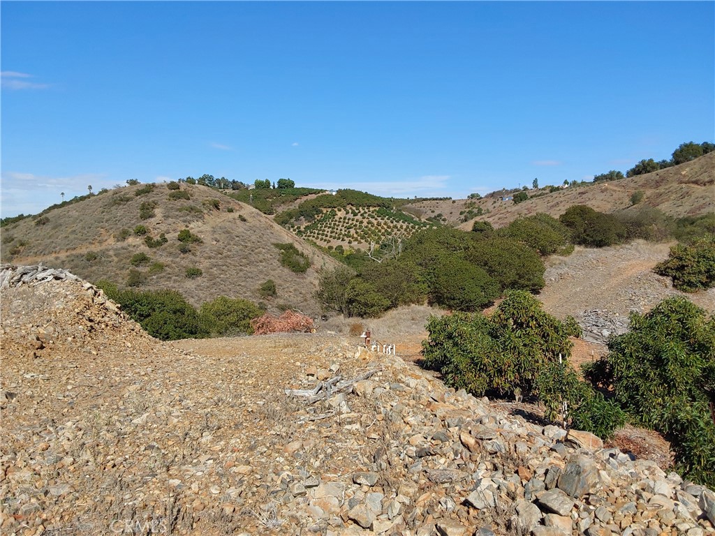 MLS #SW25267195 image #29