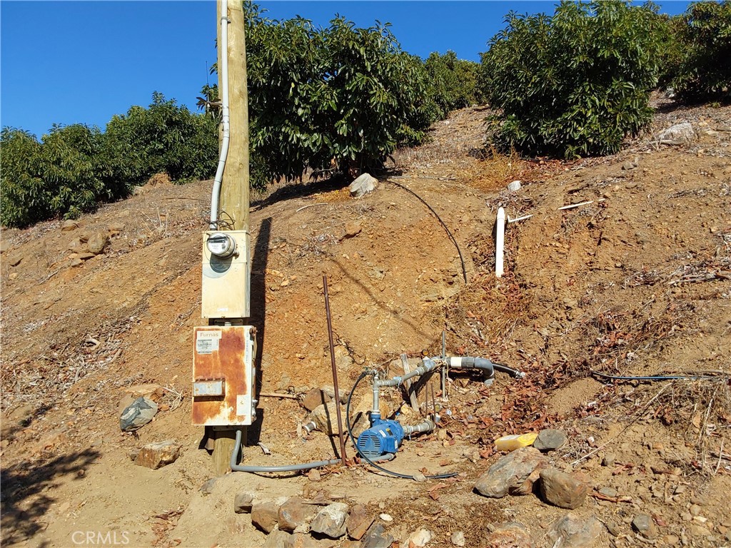 MLS #SW25267195 image #3