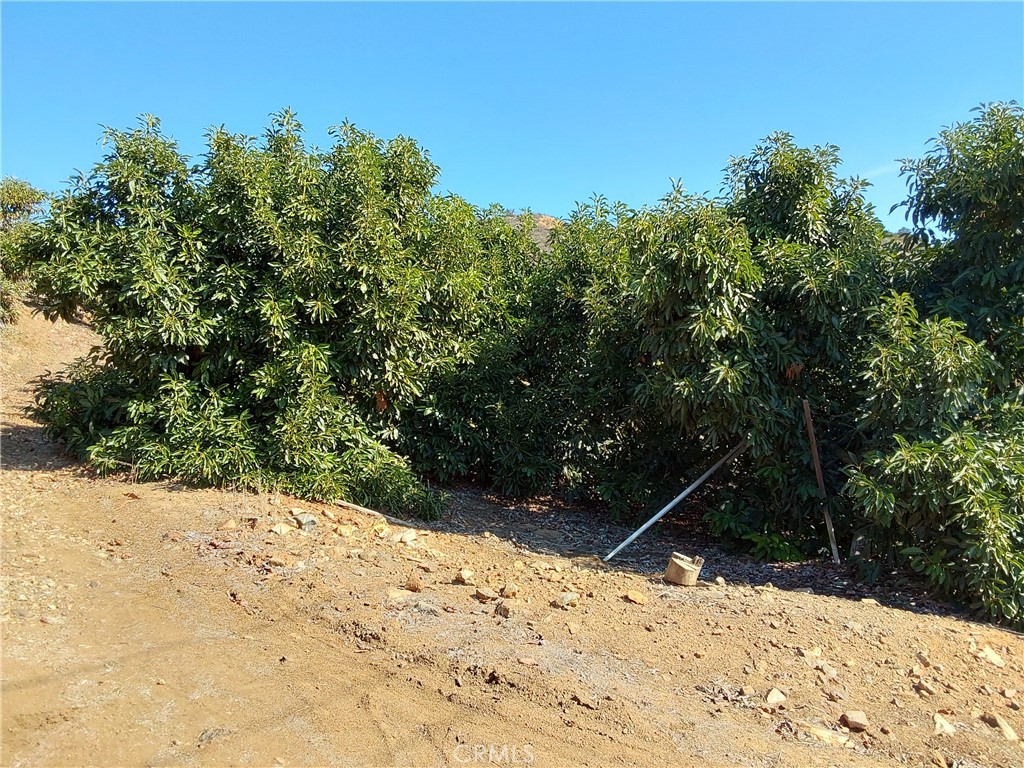 MLS #SW25267195 image #30