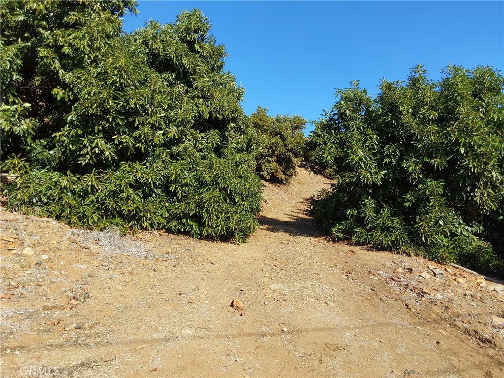 MLS #SW25267195 image #31