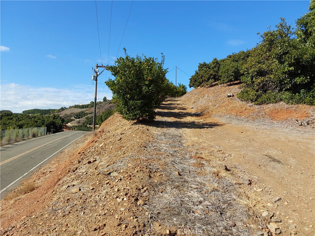 MLS #SW25267195 image #32