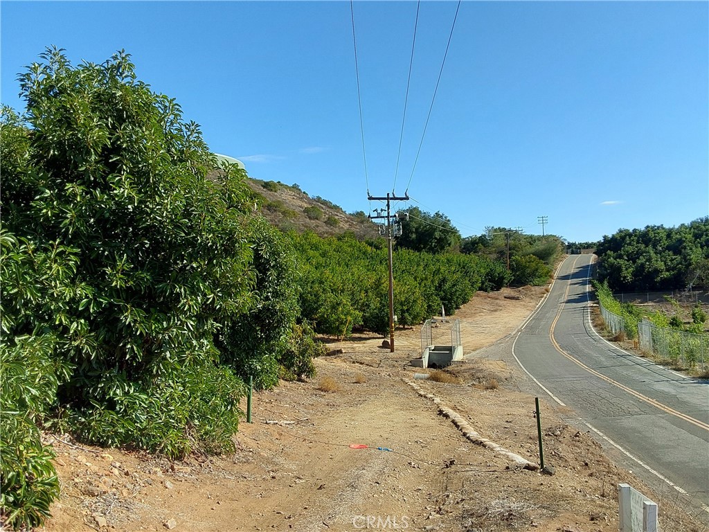 MLS #SW25267195 image #33