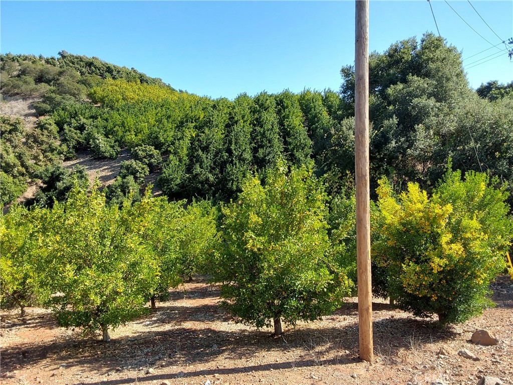 MLS #SW25267195 image #35