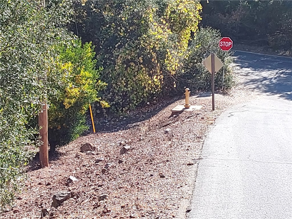 MLS #SW25267195 image #4