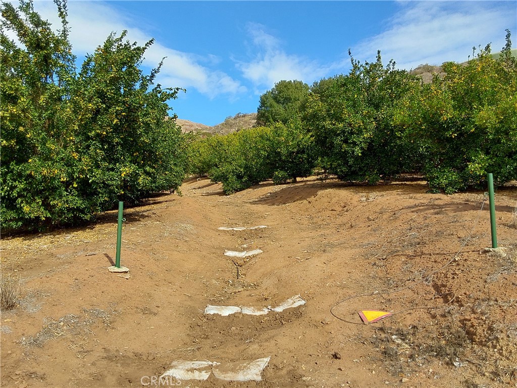 MLS #SW25267195 image #6