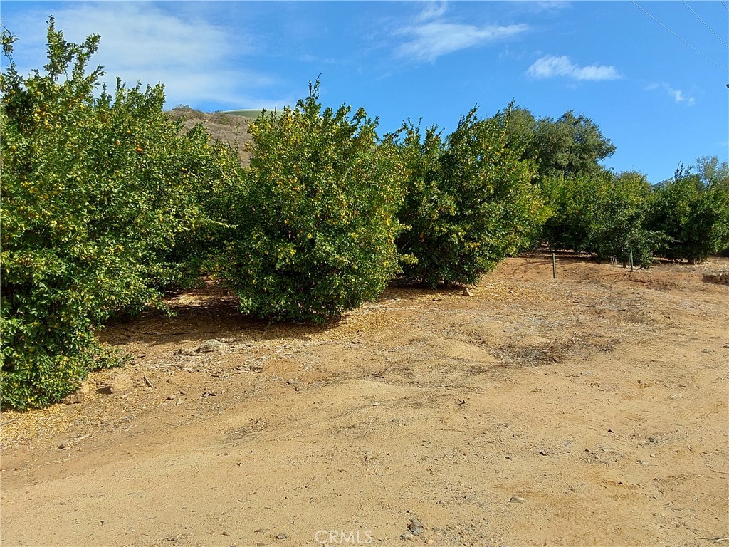 MLS #SW25267195 image #7