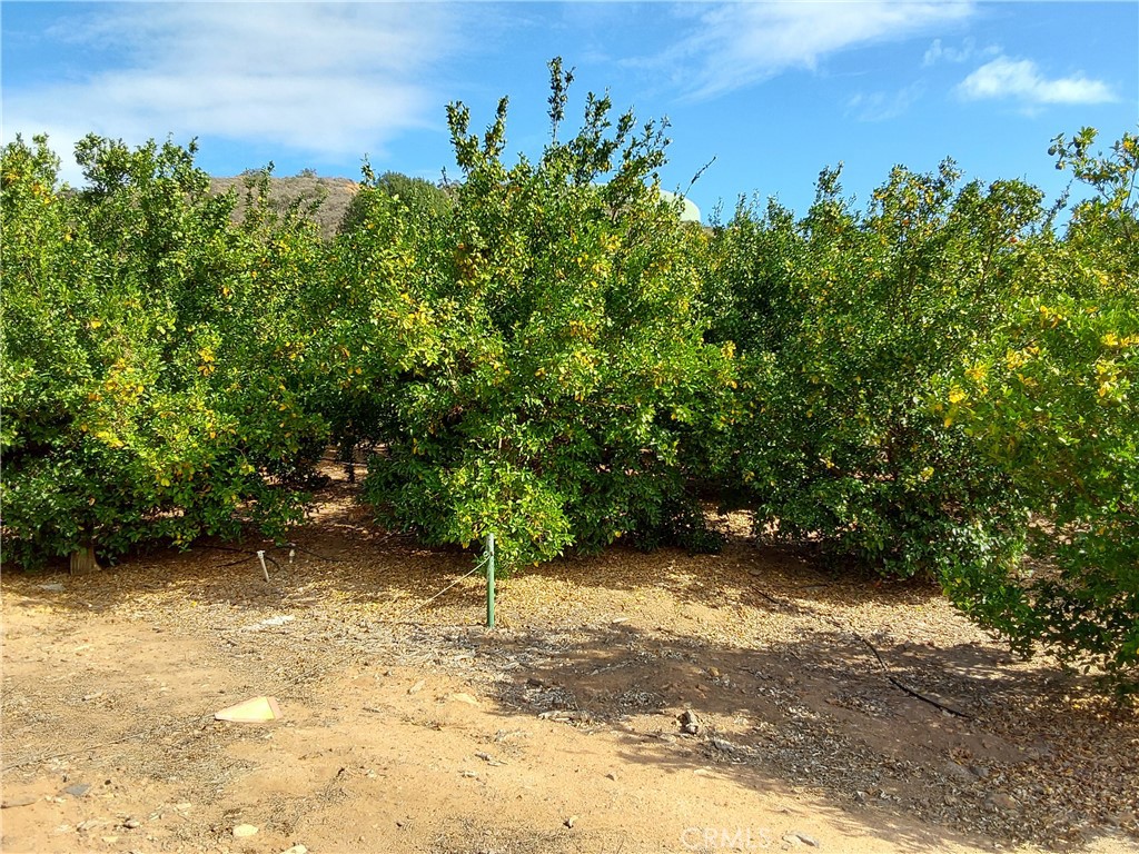 MLS #SW25267195 image #9