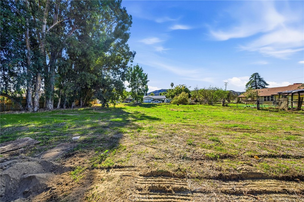 MLS #SW25267379 image #44