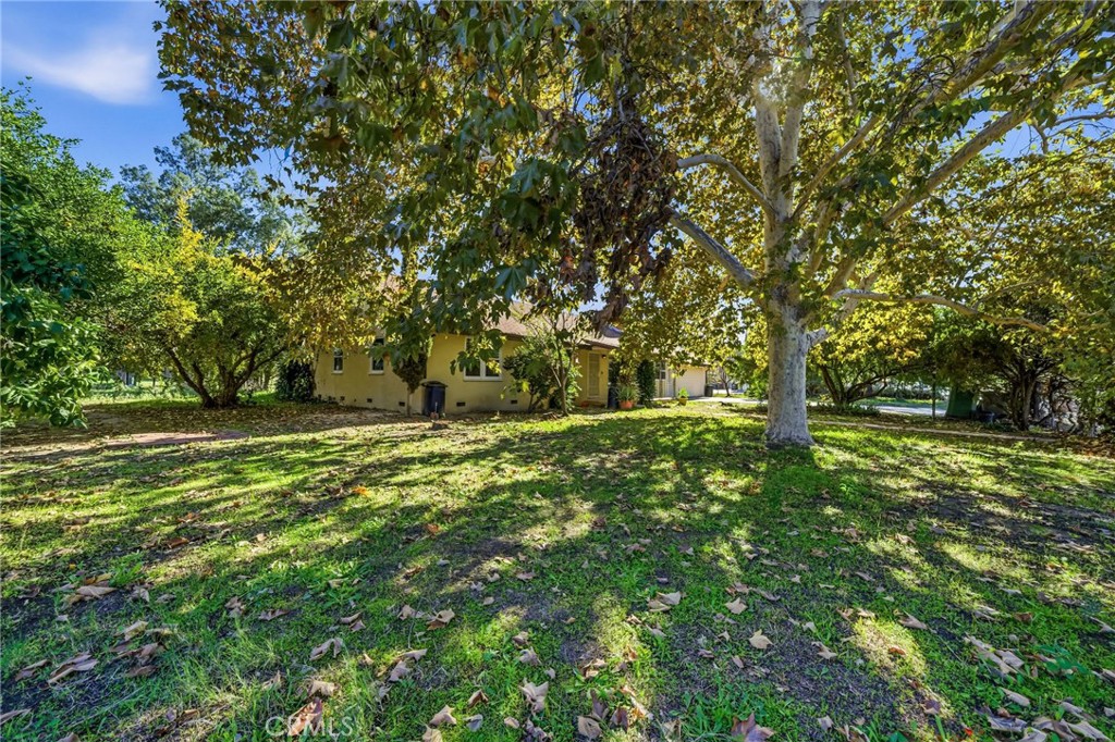 MLS #SW25267379 image #49