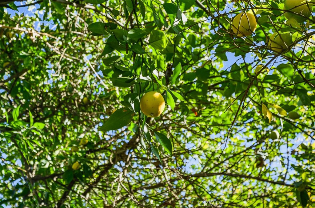 MLS #SW25267379 image #50