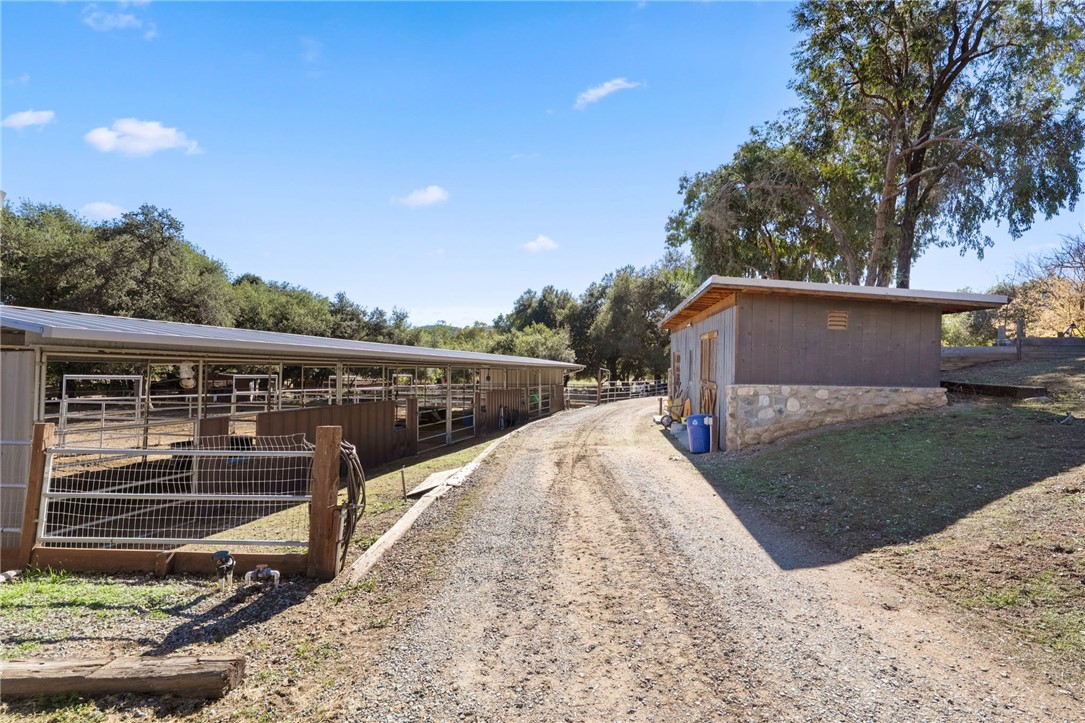 MLS #SW25267411 image #41