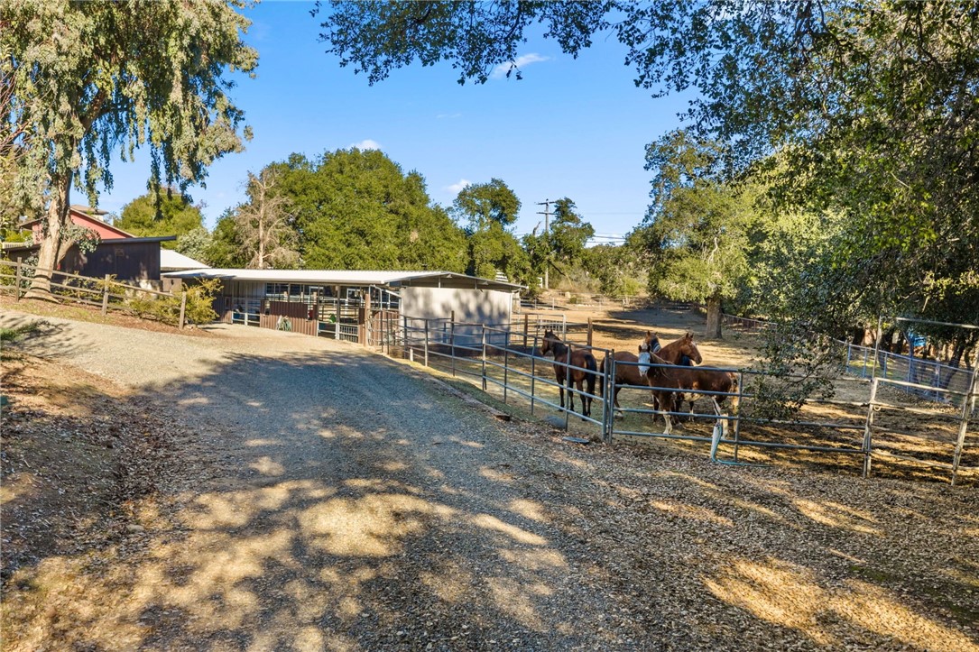 MLS #SW25267411 image #45