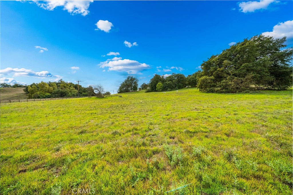 MLS #SW25268433 image #11