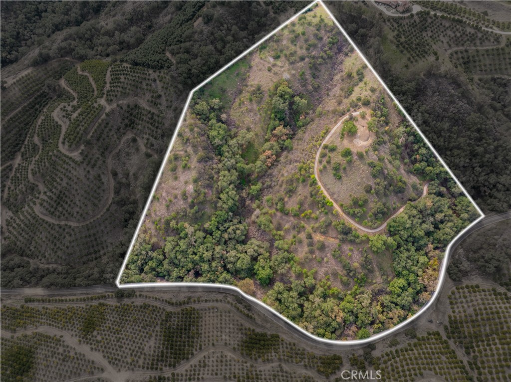 MLS #SW25268560 image #10