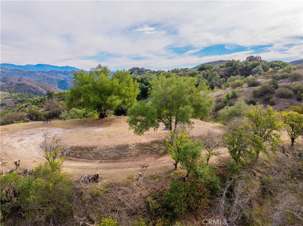 MLS #SW25268560 image #11