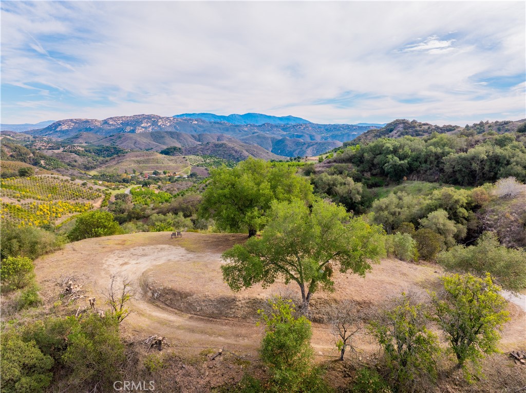 MLS #SW25268560 image #12