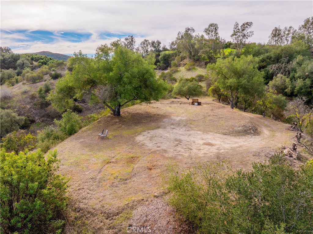 MLS #SW25268560 image #13