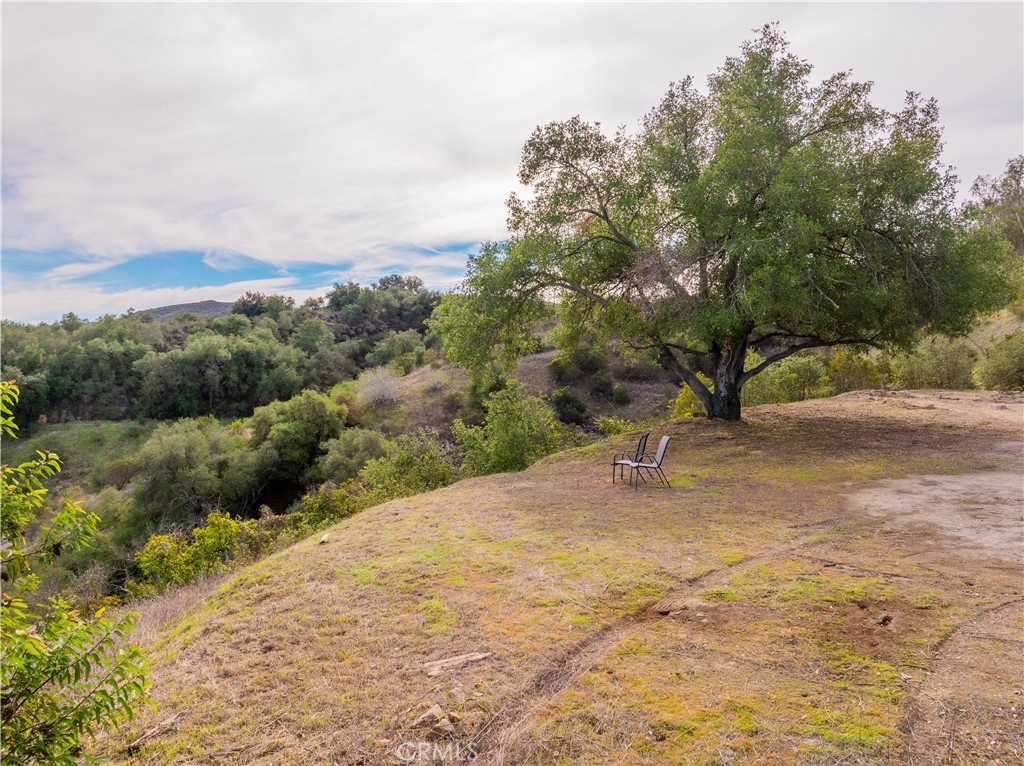 MLS #SW25268560 image #14