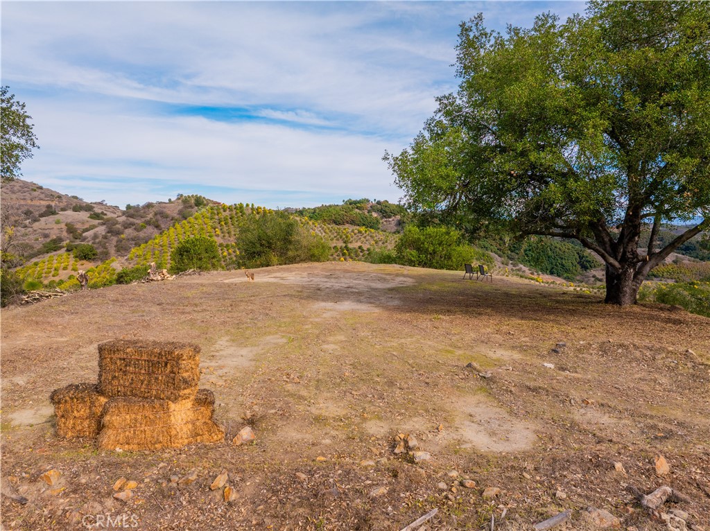 MLS #SW25268560 image #15