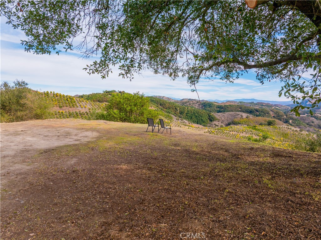 MLS #SW25268560 image #18