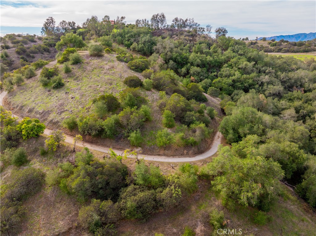 MLS #SW25268560 image #19