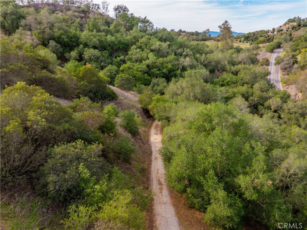 MLS #SW25268560 image #20