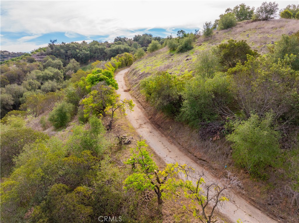 MLS #SW25268560 image #21