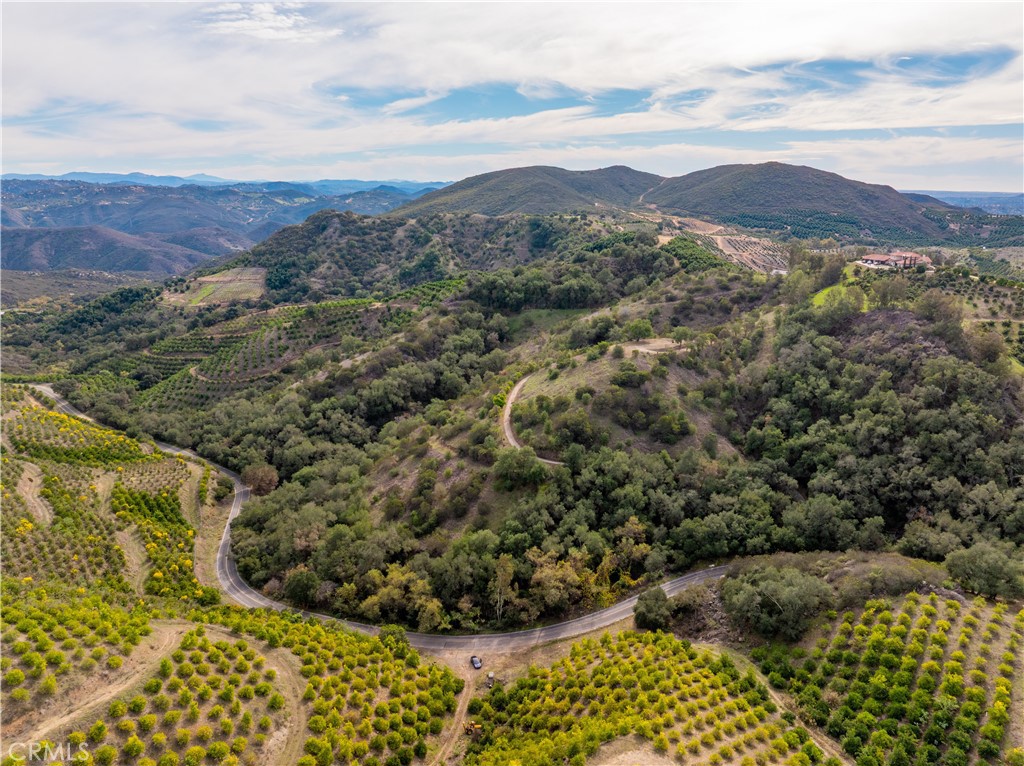 MLS #SW25268560 image #22