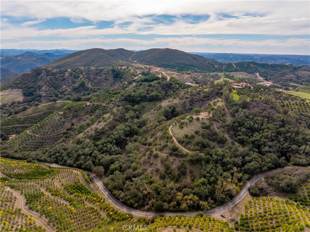 MLS #SW25268560 image #23