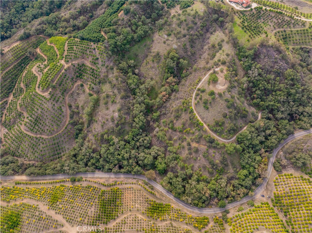 MLS #SW25268560 image #3