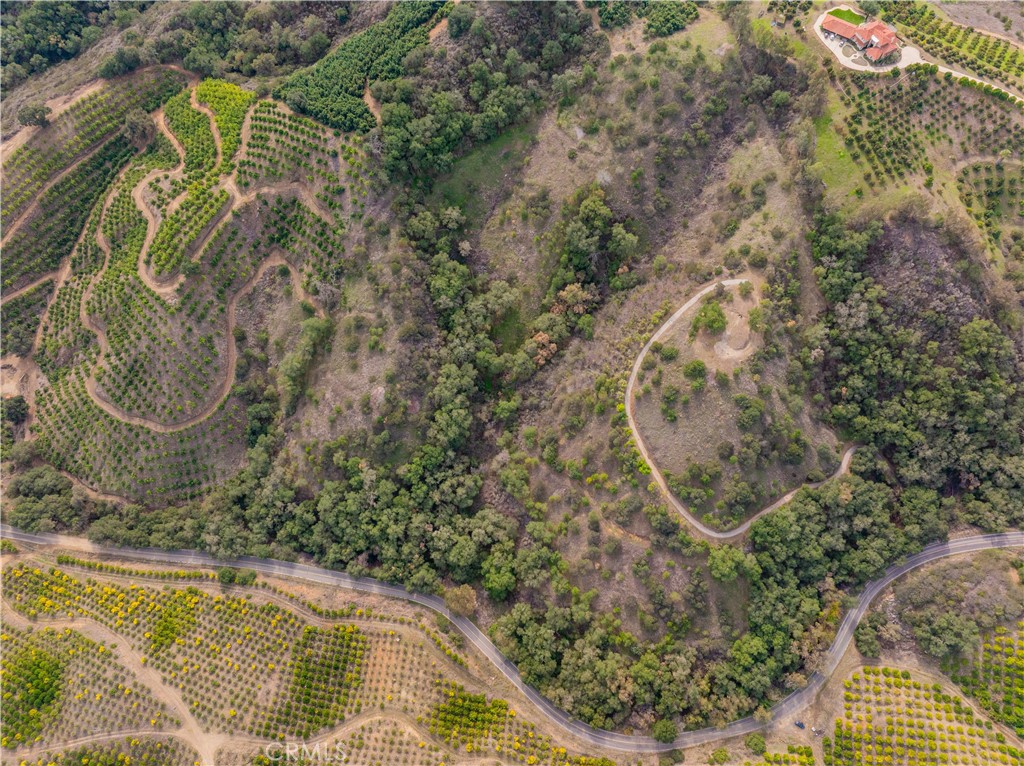 MLS #SW25268560 image #4