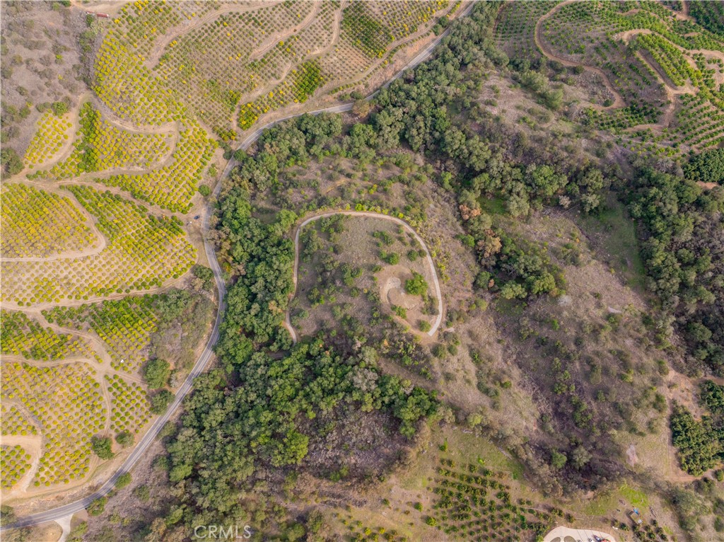 MLS #SW25268560 image #5