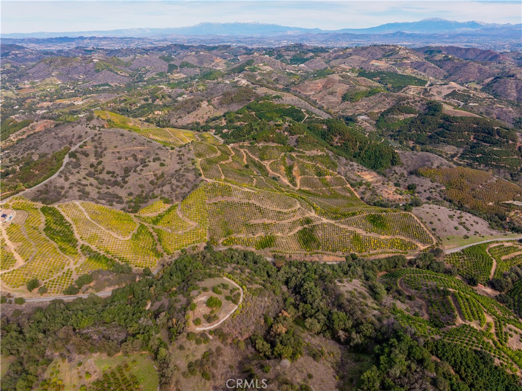 MLS #SW25268560 image #6