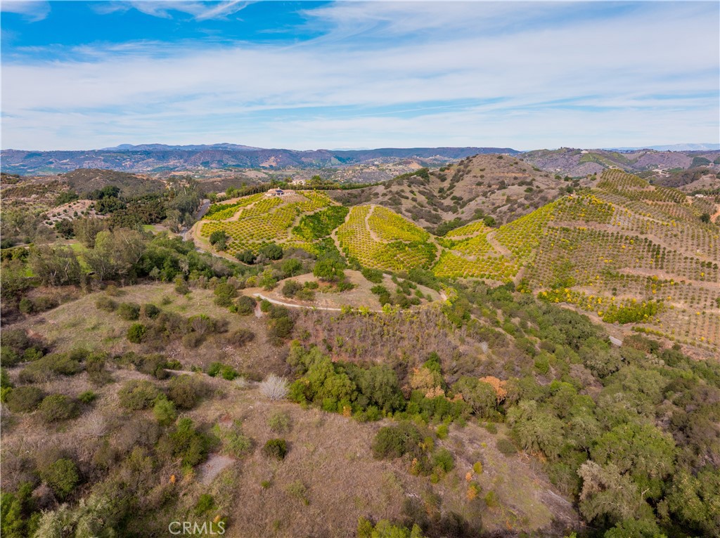 MLS #SW25268560 image #7