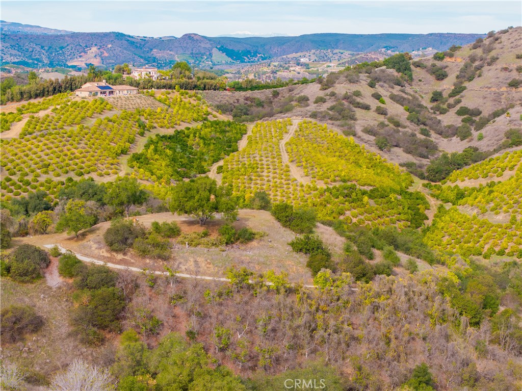 MLS #SW25268560 image #8